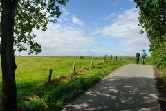 DSC 0257