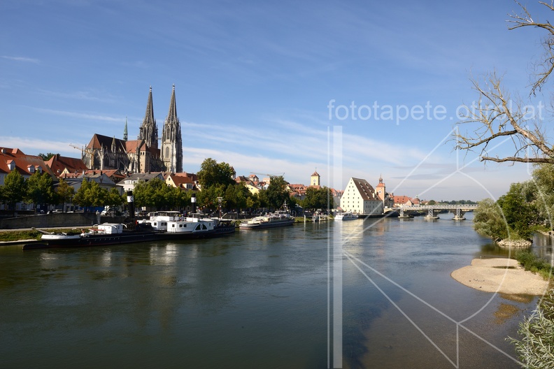 DSC_0619.jpg