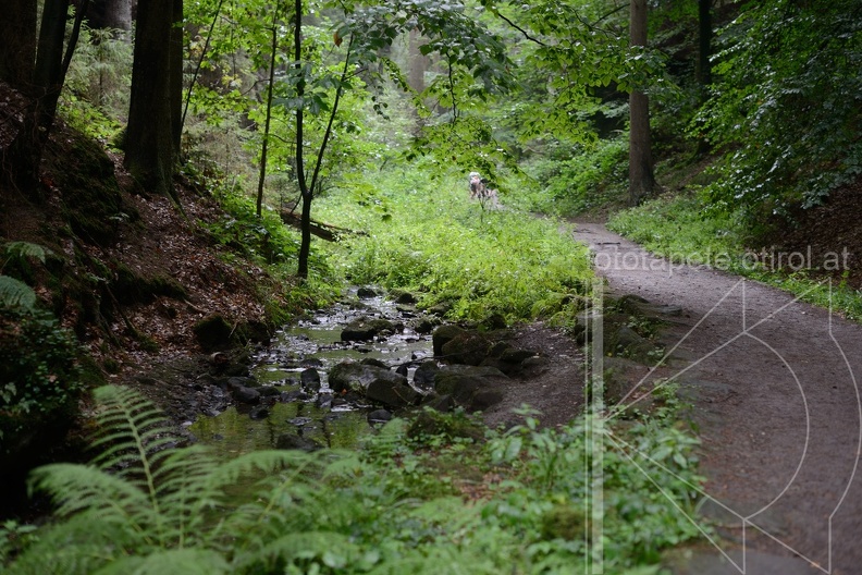MSK_0857.jpg