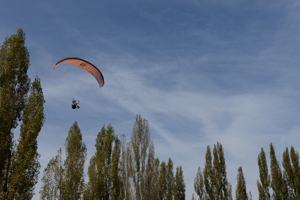 MSK 1481