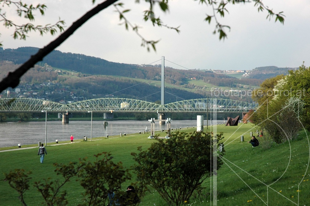 DSC 2540