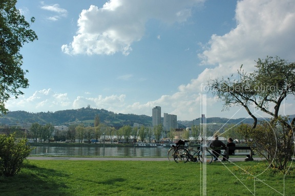 DSC 2549