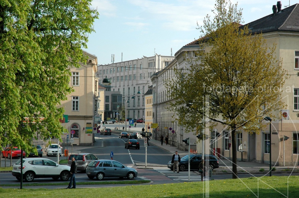DSC 2550