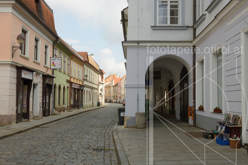MSN_8176.jpg