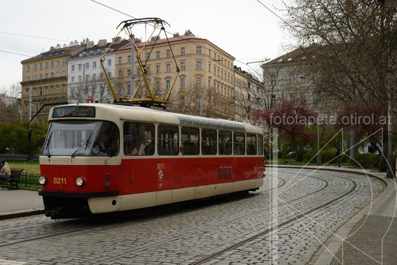 MSN 8393