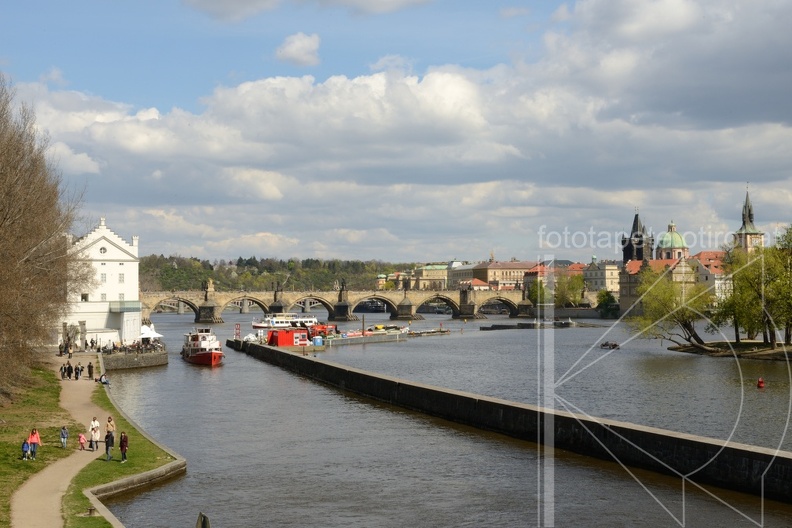 MSN_8558.jpg