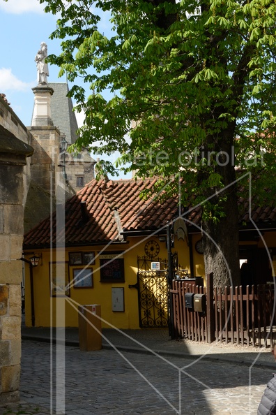 MSN_8562.jpg