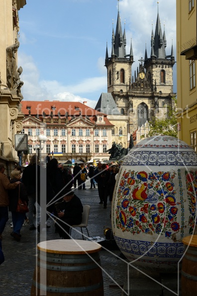 MSN_8587.jpg
