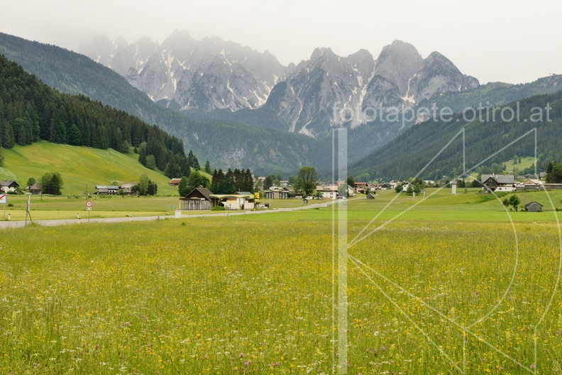 MSN_8652.jpg