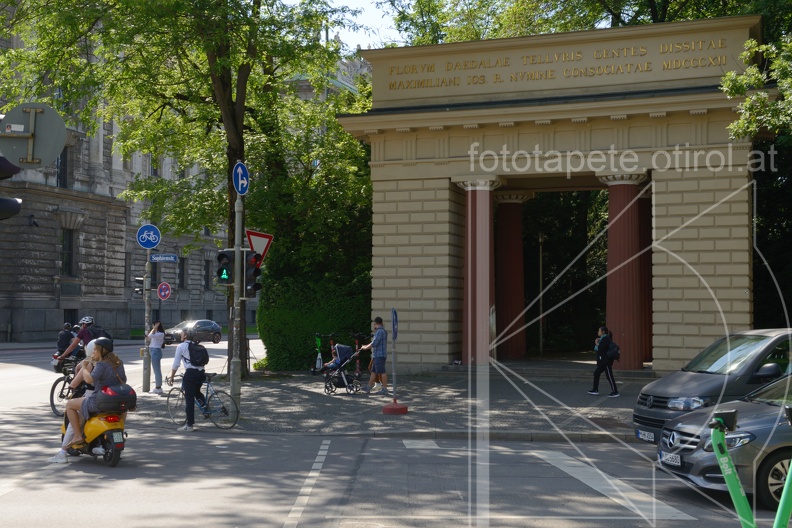 MSN_8768.jpg