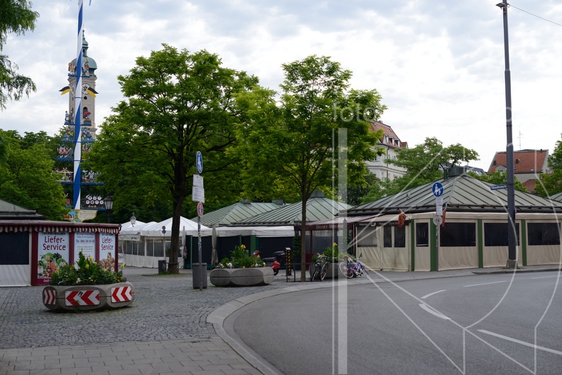 MSN_8844.jpg