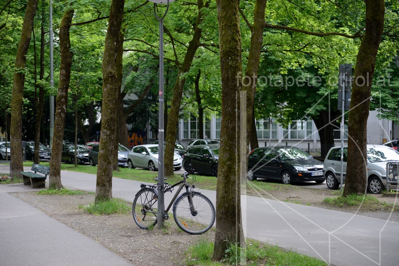 MSN_8877.jpg