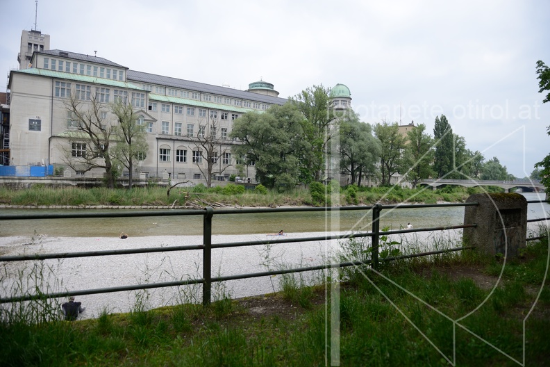 MSN_8879.jpg