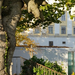 LInz Land