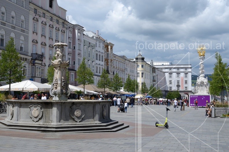 MSN_8939.jpg