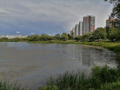 IMG 20230715 133758