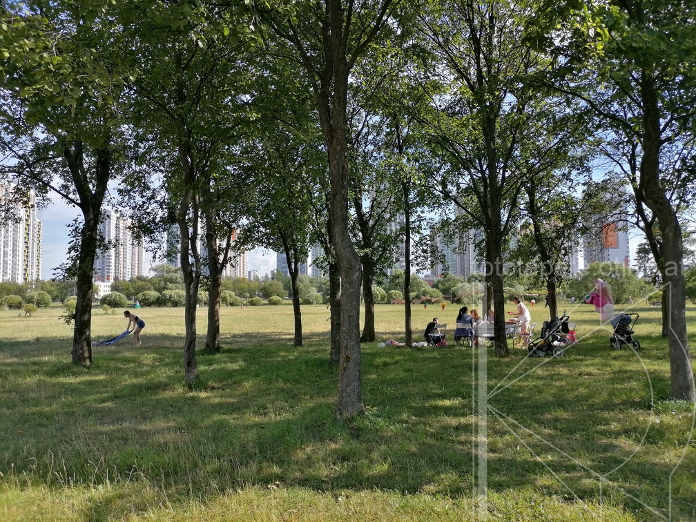 IMG 20230715 161901