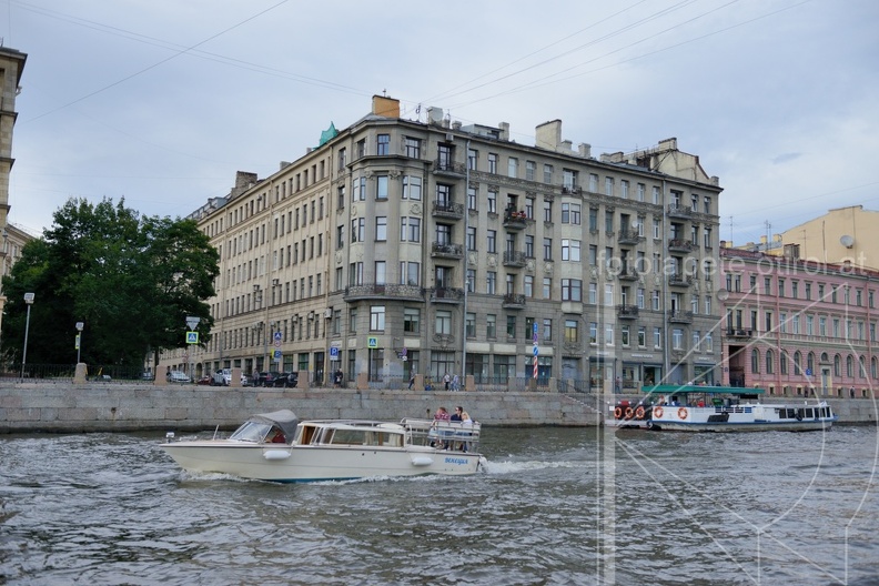 MSP_1906.jpg