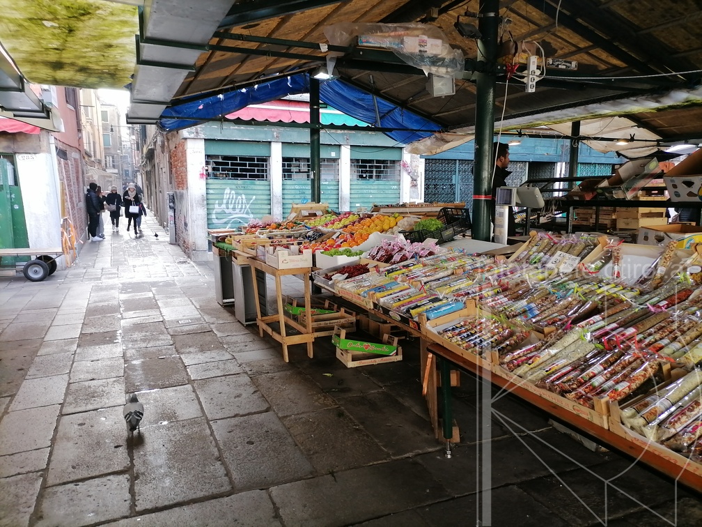 IMG 20240104 130736