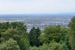 MSP 3259