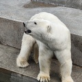 IMG 20240805 163638